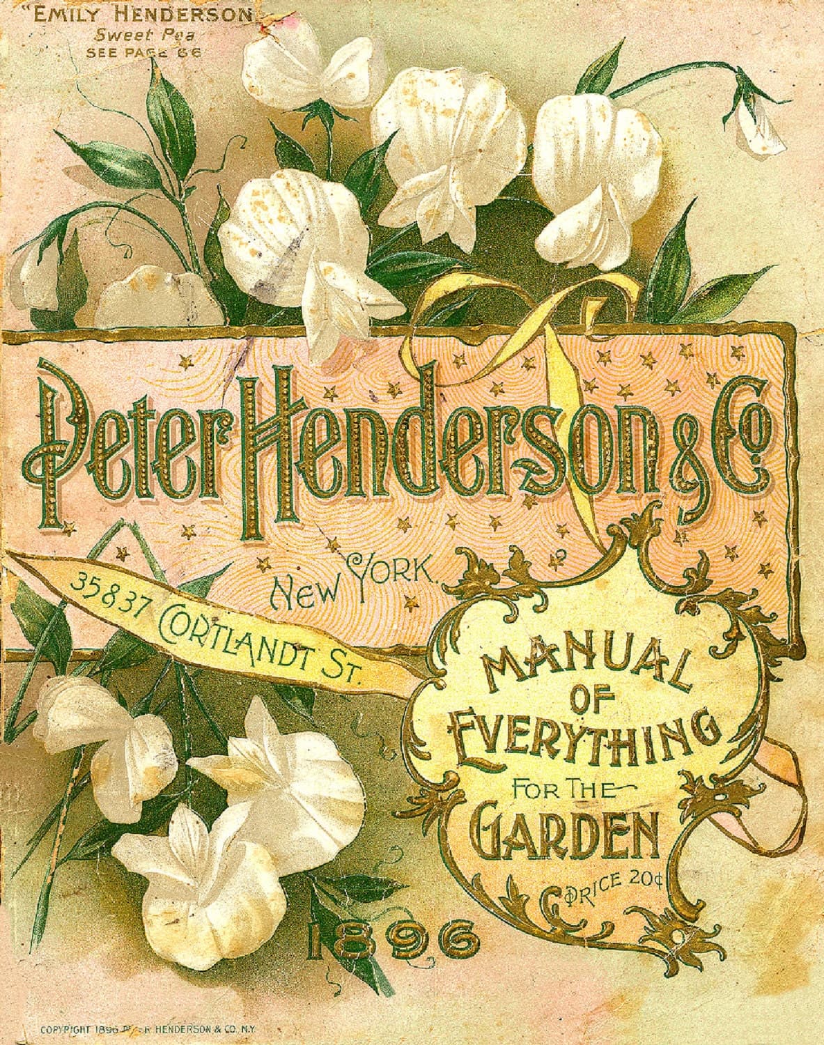 Peter Henderson